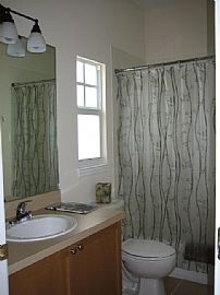 MUST RENT-JUNE 1st -HISTORIC OLD NE in Saint Petersburg, FL (Photo 2 of 6)