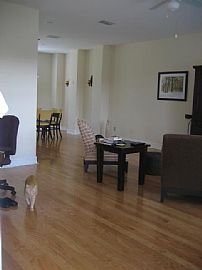 MUST RENT-JUNE 1st -HISTORIC OLD NE in Saint Petersburg, FL (Photo 5 of 6)