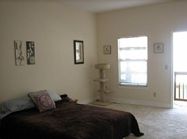 MUST RENT-JUNE 1st -HISTORIC OLD NE in Saint Petersburg, FL (Photo 6 of 6)