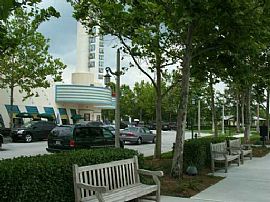 Spacious Condo for Rent in Celebration,  in Celebration, FL (Photo 4 of 6)