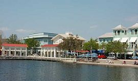 Spacious Condo for Rent in Celebration,  in Celebration, FL (Photo 6 of 6)