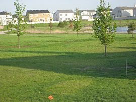 Plainfield - Lease or Leas with Option in Plainfield, IL (Photo 2 of 6)