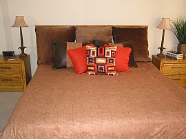 DESERT SERENITY - BEAUTIFUL 3BD/2BA HOME in Palm Springs, CA (Photo 5 of 6)