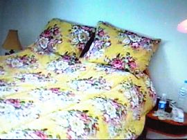 SW-ar in Las Vegas, NV (Photo 4 of 6)