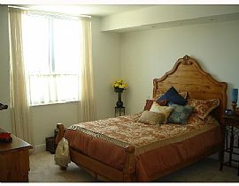 New Condo, Gulf Front, Downtown Sarasota in Sarasota, FL (Photo 3 of 6)