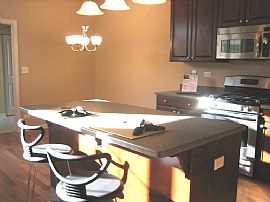 New Construction in Award winning School in Buffalo Grove, IL (Photo 3 of 5)