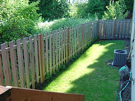 Master on Main! 4bd/3ba for Rent/Lease  in Beaverton, OR (Photo 6 of 6)