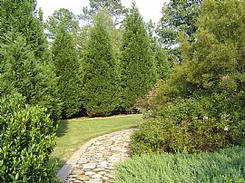 beautiful 3 bedroom ranch home in Sugar Hill, GA (Photo 5 of 6)