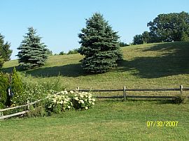 4+ Bedroom luxury home in Gurnee, IL (Photo 3 of 3)