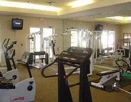 Las Palmas Luxury Condo in Sarasota, FL (Photo 4 of 4)