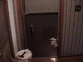 3bd, 2bth new hardwoods in Woodstock, GA (Photo 6 of 6)