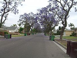 School and store close 3 bedroom home in Santa Ana, CA (Photo 6 of 6)