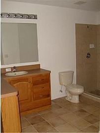 Brand new lakefront home to rent in New Port Richey, FL (Photo 5 of 6)