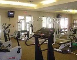 Luxury Condo in Las Palmas in Sarasota, FL (Photo 3 of 4)