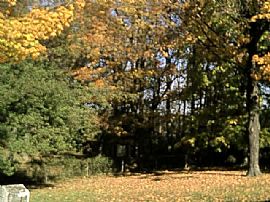 Nice Family Home in Quiet Neighborhood in New Albany, IN