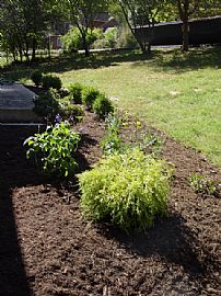 Historic Norris in Norris, TN (Photo 5 of 5)