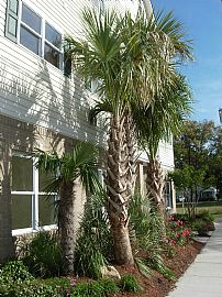 Executive Style Beach Townhome in Virginia Beach, VA