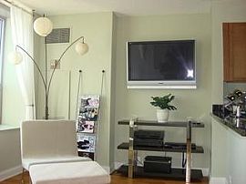     Stunning Furnished Convertible  in Chicago, IL (Photo 4 of 6)