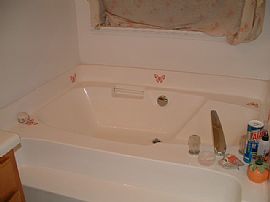 GARDEN TUB, VAULTED CEILING, FIREPLACE!! in College Park, GA (Photo 4 of 4)