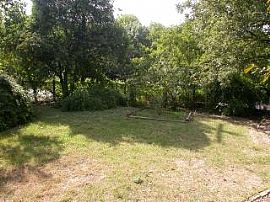 Zilker Bungalow in Austin, TX (Photo 6 of 6)