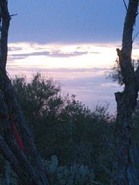 BEST DEAL in Tucson, AZ (Photo 4 of 6)