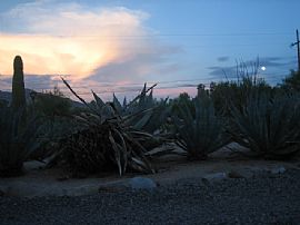 BEST DEAL in Tucson, AZ (Photo 5 of 6)