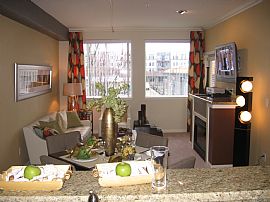 New Jumbo Size Studio in Renton, WA (Photo 2 of 5)