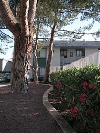 2 Br 2 Ba Northport Apartments in Victorville, CA (Photo 4 of 6)