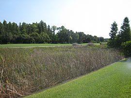 Elegant Westchase golf course home! in Tampa, FL (Photo 3 of 6)