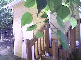 LARGE HOME-DOWNTOWN in Atlanta, GA (Photo 1 of 5)