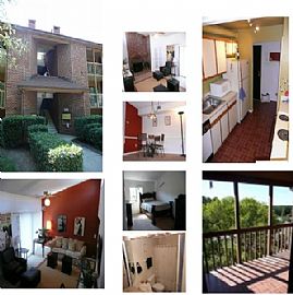 Furnished Condo next to Recreation Park in Richmond, VA