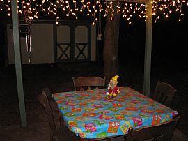 Lovely 3/2 Near beaches and parks! in Saint Petersburg, FL (Photo 5 of 6)