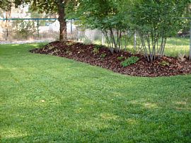 Newly remodeled house in Spokane, WA (Photo 6 of 6)