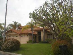 4 bedroom/3 full bath 1/2 acre/views in Vista, CA