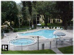 Fabulous Third Floor Unit in Dunedin, FL (Photo 4 of 4)