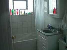 STUNNING CONDO in Oak Park, IL