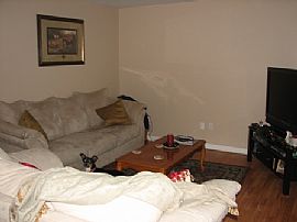 Beautiful 3 bed/2 bath on Lawrence Lake in Yelm, WA (Photo 3 of 6)