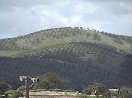 Beautiful Townhome, Panoramic Views in Paso Robles, CA (Photo 3 of 4)