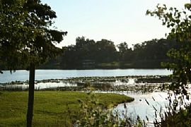 Lakefront,3/2Idyllic Deck S.of Davenport in Haines City, FL (Photo 3 of 6)