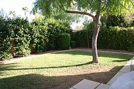 beautiful 3 bed 2 bath a must see!!  in Chandler, AZ (Photo 4 of 5)