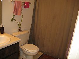 One bedroom apartment all utilities incl in Tucson, AZ (Photo 2 of 6)