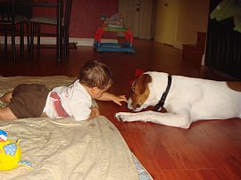 HUGE Home to rent!!! in Davie, FL (Photo 6 of 6)