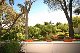 Executive Home in Great Location in Walnut Creek, CA (Photo 6 of 6)