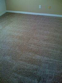 3/2/1 WESLEY CHAPEL in Wesley Chapel, FL (Photo 4 of 4)