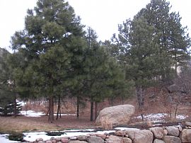 Spacious 4300sq ft 6bdrm Home in D12 in Colorado Springs, CO (Photo 6 of 6)