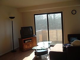 Gorgeous townhouse avail Feb 25 in Annandale, VA (Photo 2 of 6)