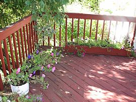 Beautiful single family home in Golden Valley, MN (Photo 6 of 6)