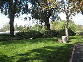 All New!! Townhouse for Lease in Lake Forest, CA (Photo 2 of 2)