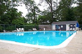 Heat & Hot Water Included & Pet Friendly in Westfield, MA (Photo 4 of 5)