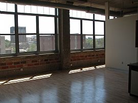 Gorgeous luxury condo in DT Minneapolis in Minneapolis, MN (Photo 4 of 6)